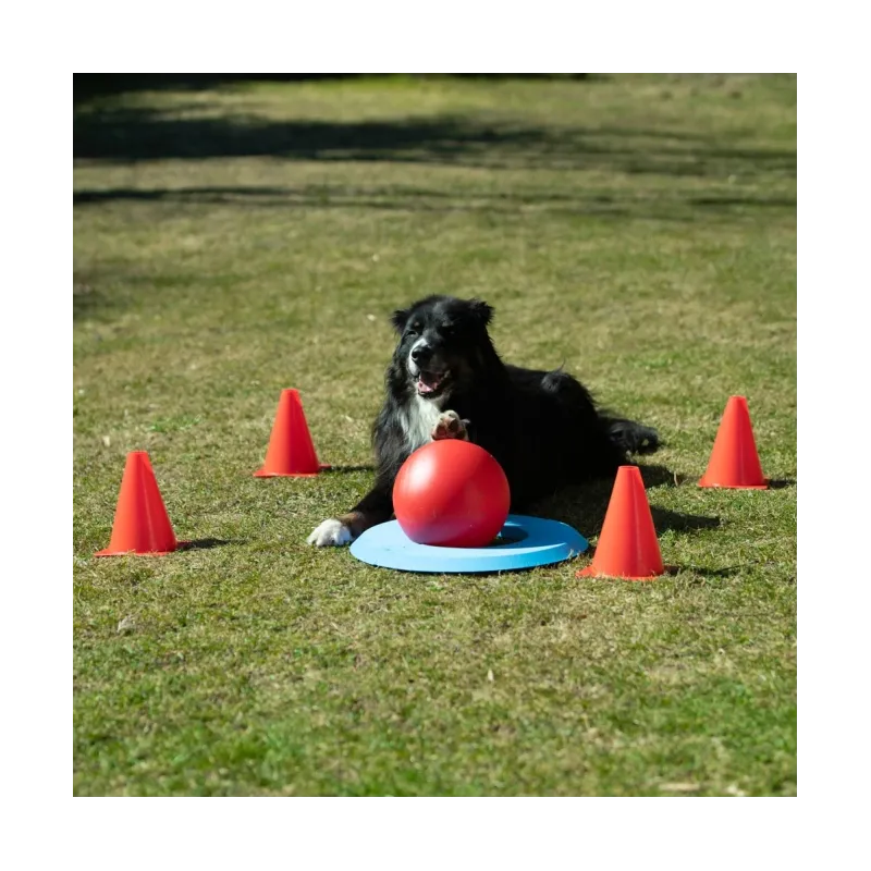 Hundespielzeug & Sport PROCYON Dog Golf Set jetzt online