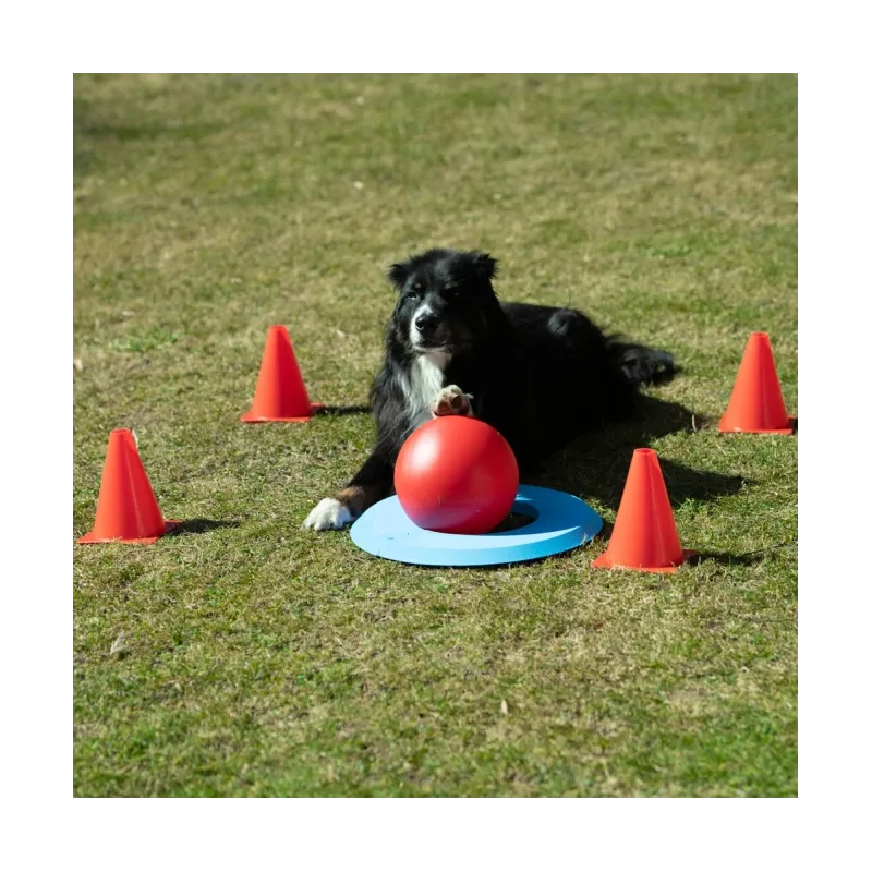 Hundespielzeug & Sport PROCYON Dog Golf Set jetzt online
