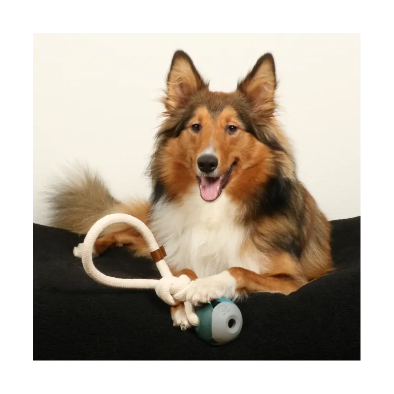 Hundespielzeug & Sport D&D Hundespielzeug Nora - lagoon jetzt online