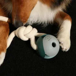 Hundespielzeug & Sport D&D Hundespielzeug Nora - lagoon jetzt online