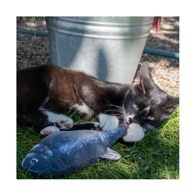 Katzenspielzeug Robocat Forelle - 30 cm jetzt online