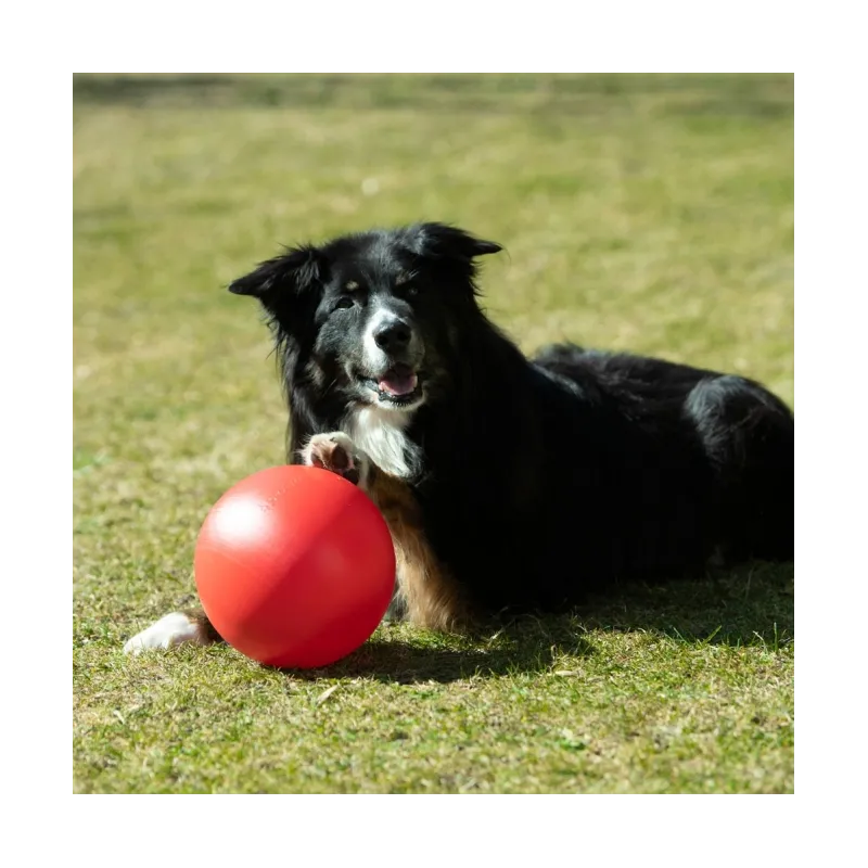 Hundespielzeug & Sport PROCYON Treibball Größe S - extra stabil -...