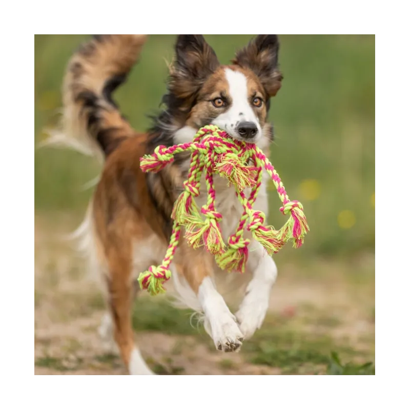 Hundespielzeug & Sport Trixie Tau-Spielzeug jetzt online