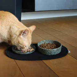 Hundenäpfe & Tränken D&D Napfunterlage Phil - Schwarz - 35 x 20 cm...