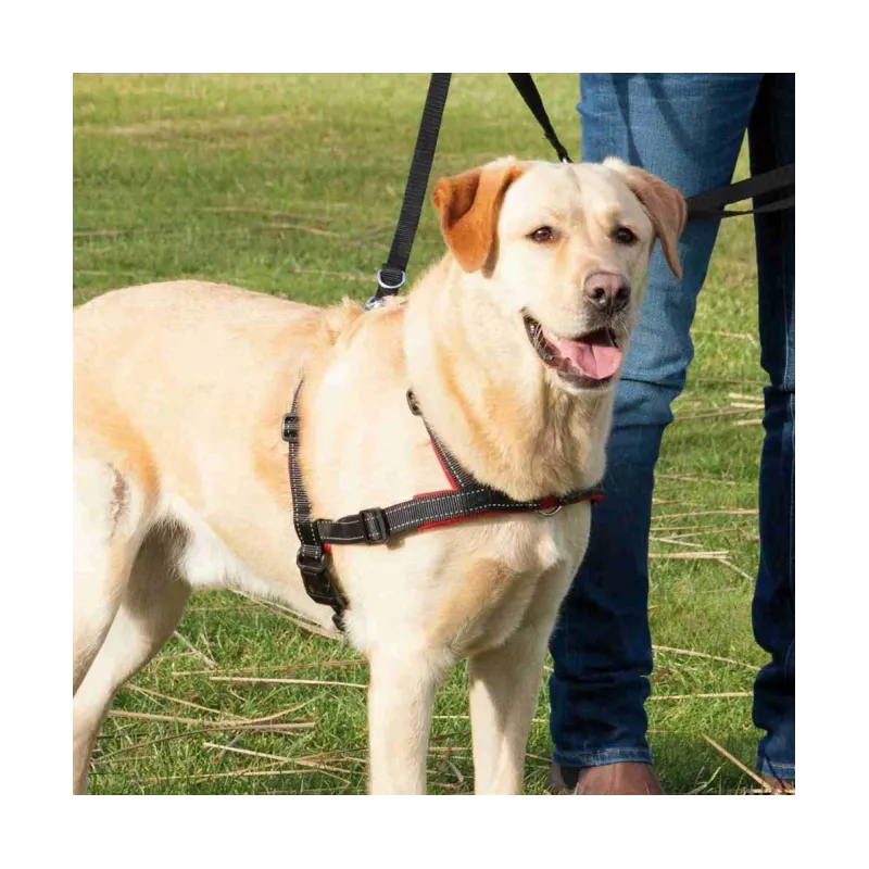 Halsbänder & Leinen Trixie Trainingsgeschirr Lead'n'Walk Soft -...