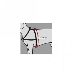 Halsbänder & Leinen Trixie Trainingsgeschirr Lead'n'Walk Soft -...