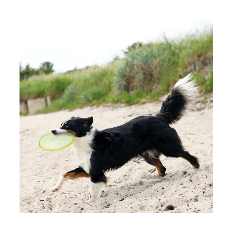 Hundespielzeug & Sport Trixie TPR Dog Disc, schwimmfähig - 18 cm...