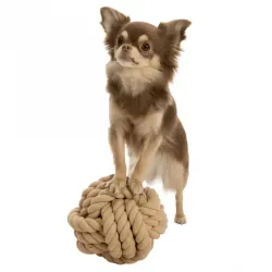 Hundespielzeug & Sport Trixie BE NORDIC Tau-Ball für Hunde - 13 cm...