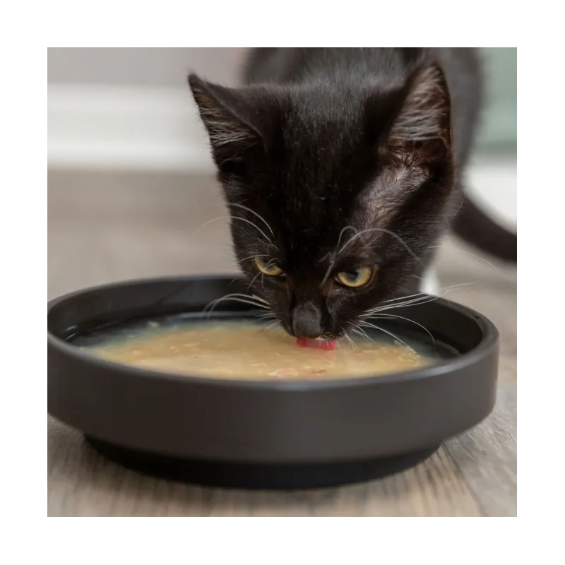 Katzensnacks Trixie Kittis Salmon Soup - 4 × 80 g jetzt online