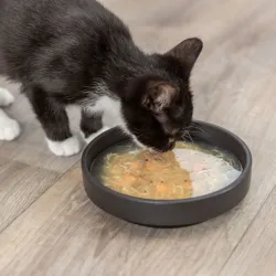 Katzensnacks Trixie Kittis Shrimp Soup - 4 × 80 g jetzt online