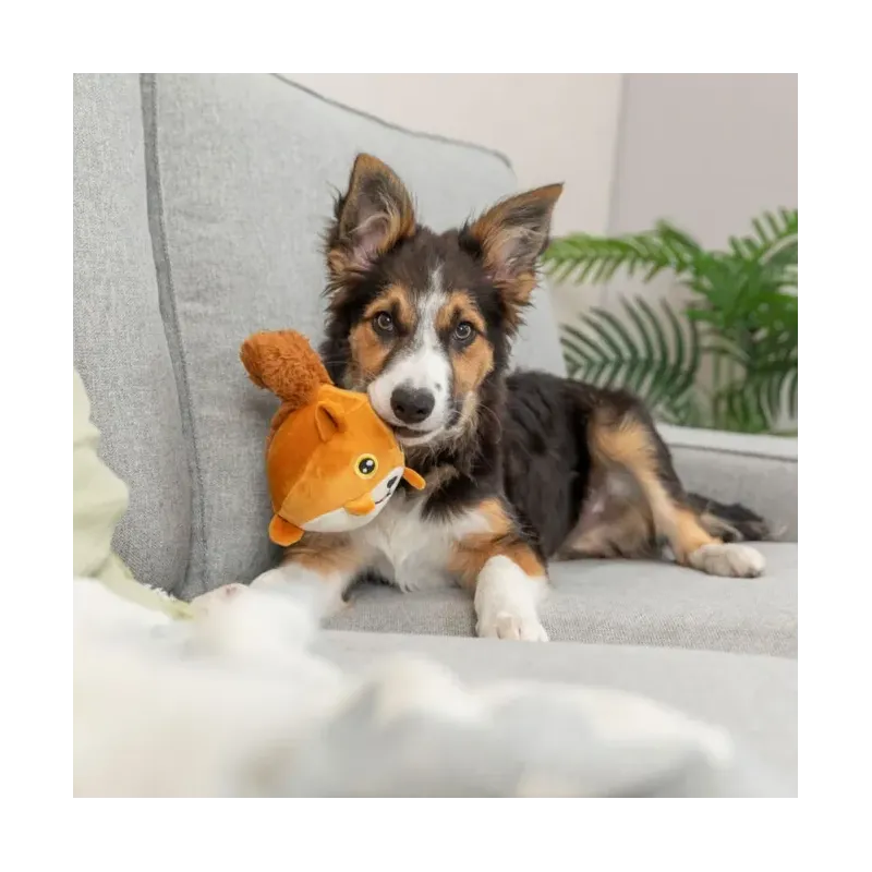 Hundespielzeug & Sport Trixie Eichhörnchen mit Memory-Effekt - 13...