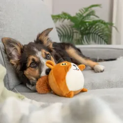 Hundespielzeug & Sport Trixie Eichhörnchen mit Memory-Effekt - 13...