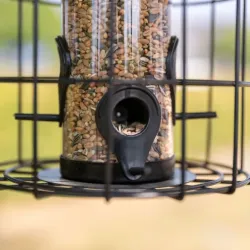 Vogelwelt Trixie Futterspender mit Schutzgitter jetzt online