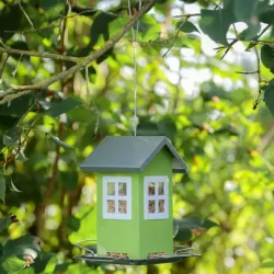 Vogelwelt Trixie Futterhaus - grün jetzt online