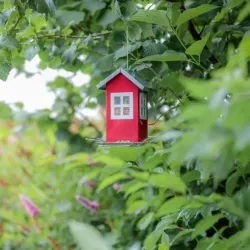 Vogelwelt Trixie Futterhaus - rot jetzt online