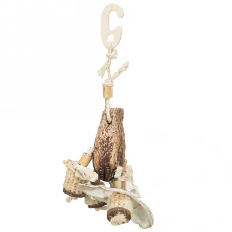 Ausstattung & Zubehör Trixie Naturspielzeug mit Mahagonischote...