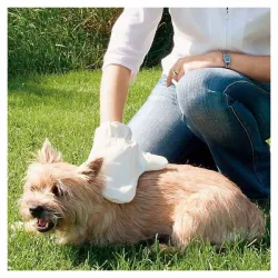 Pflege & Gesundheit Trixie Fellpflege-Handschuh jetzt online