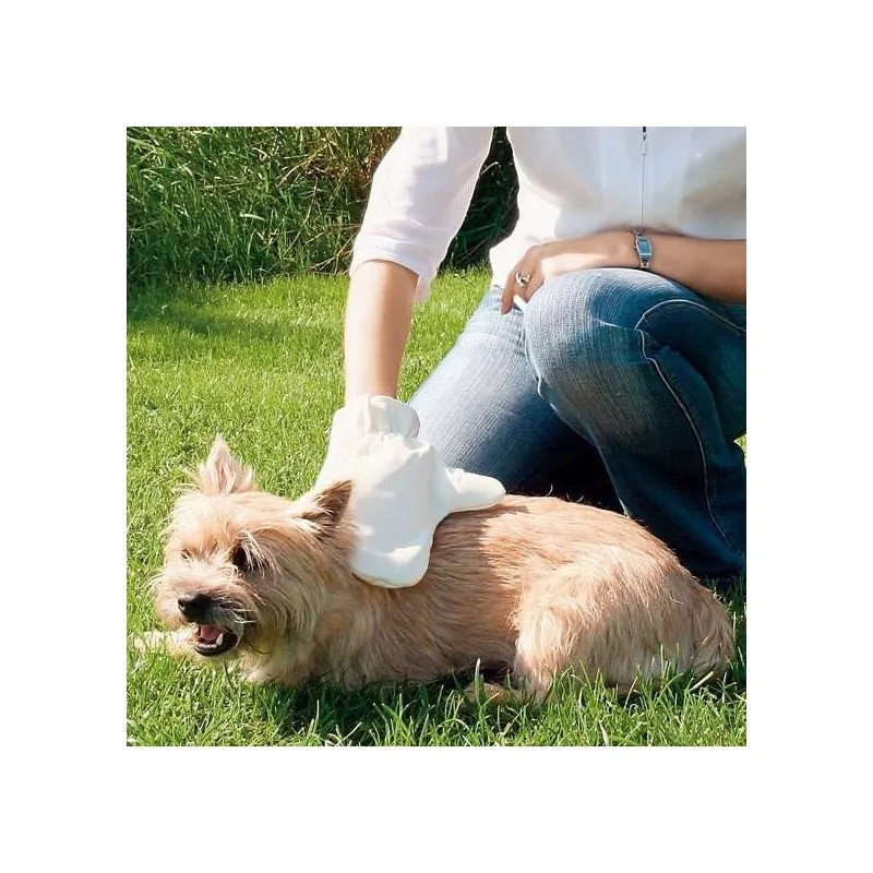 Pflege & Gesundheit Trixie Fellpflege-Handschuh jetzt online