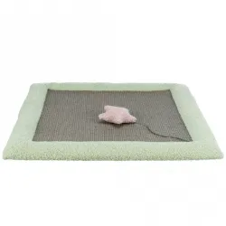Kratzbäume & -möbel Trixie Junior Kratzmatte - 47 × 47 cm jetzt online