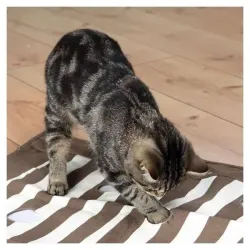 Katzenspielzeug Trixie Cat Activity Pföteldecke - 70 x 50 cm jetzt...