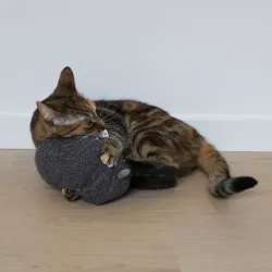 Katzenspielzeug D&D Tretkissen Molly - L - 13 x 14 x 27cm jetzt online