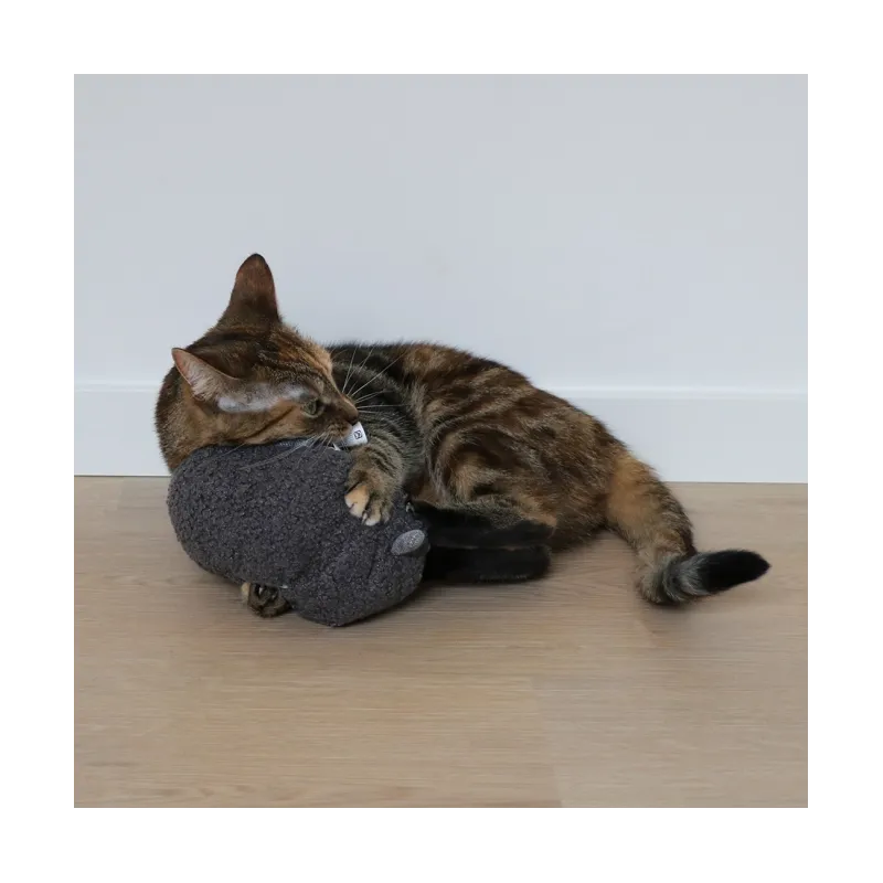 Katzenspielzeug D&D Tretkissen Molly - L - 13 x 14 x 27cm jetzt online