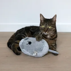 Katzenspielzeug D&D Tretkissen Bowie - S - 11 x 11 x 25cm jetzt online