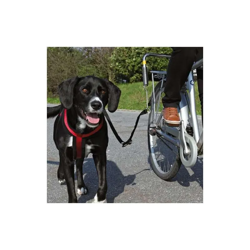 Reise & Transport Trixie Biker-Set, Gr. S-M jetzt online