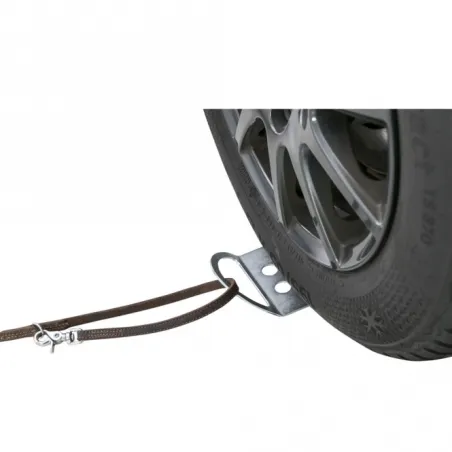 Reise & Transport Trixie Auffahrplatte zum Anleinen jetzt online