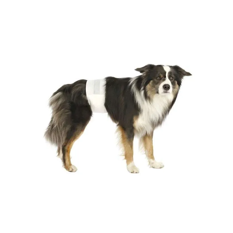 Pflege & Gesundheit Trixie Hundewindeln für Rüden - L-XL jetzt online