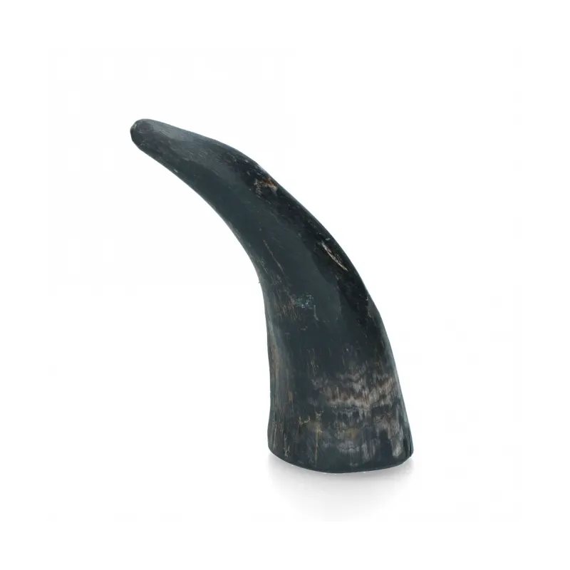 Hundespielzeug & Sport Viking Whole Horn - S jetzt online