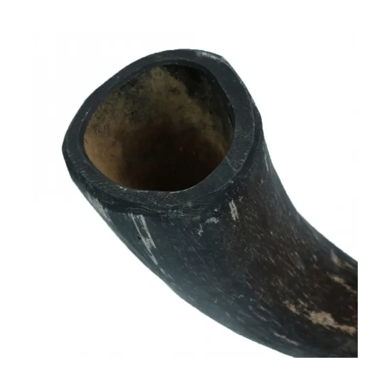 Hundespielzeug & Sport Viking Whole Horn - S jetzt online