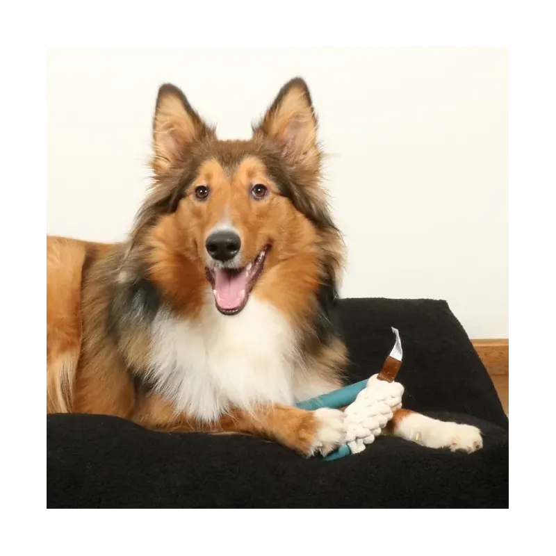 Hundespielzeug & Sport D&D Hundespielzeug Milan - lagoon jetzt online