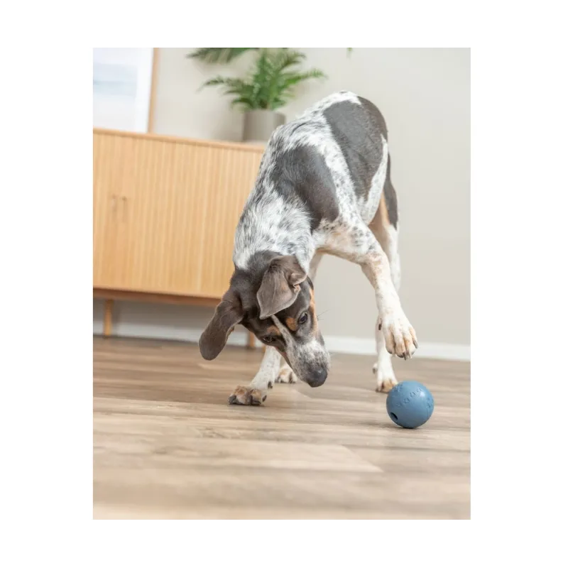 Hundespielzeug & Sport Trixie Labyrinth-Snacky...