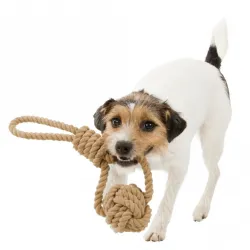 Hundespielzeug & Sport Trixie BE NORDIC Spieltau mit...