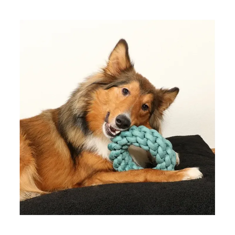 Hundespielzeug & Sport D&D Baumwollring Ben - blau - 19 x 19 x 5cm...