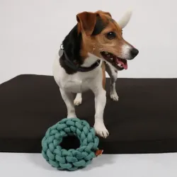 Hundespielzeug & Sport D&D Baumwollring Ben - blau - 19 x 19 x 5cm...