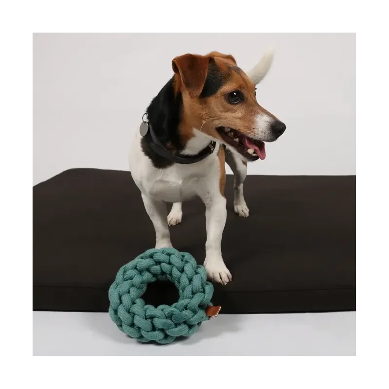 Hundespielzeug & Sport D&D Baumwollring Ben - blau - 19 x 19 x 5cm...