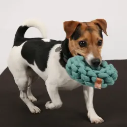 Hundespielzeug & Sport D&D Baumwollring Ben - blau - 19 x 19 x 5cm...