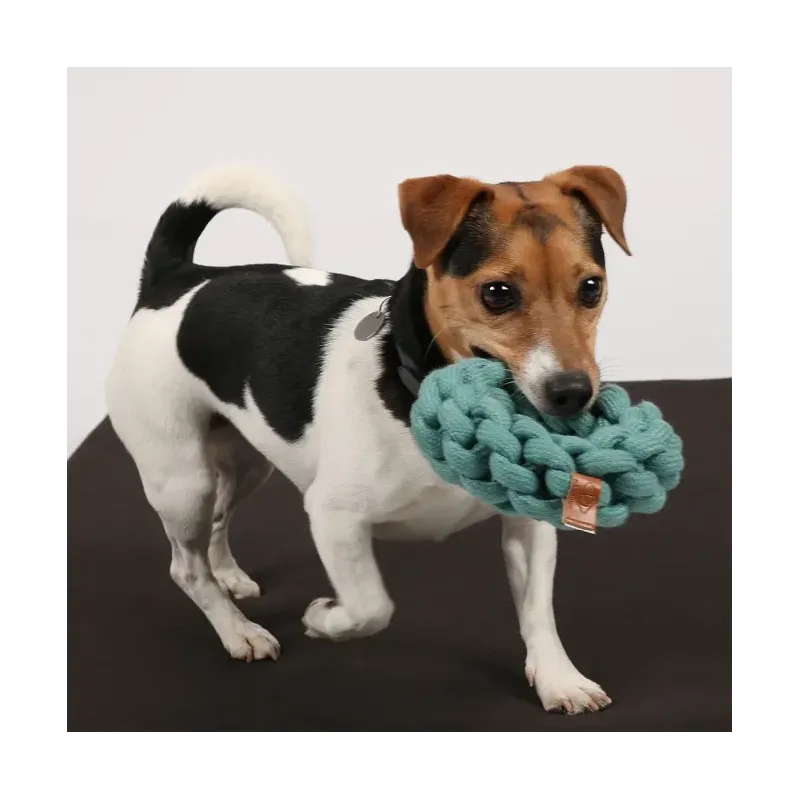 Hundespielzeug & Sport D&D Baumwollring Ben - blau - 19 x 19 x 5cm...