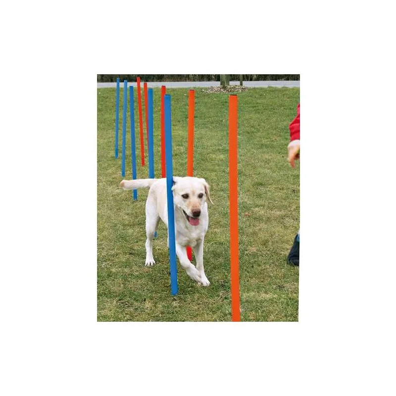 Hundespielzeug & Sport Trixie Agility Slalom jetzt online