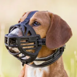 Halsbänder & Leinen Trixie Maulkorb Muzzle Flex, Gummi - L jetzt...