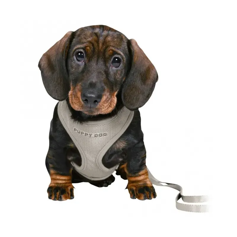 Halsbänder & Leinen Trixie Junior Welpen-Softgeschirr mit Leine -...