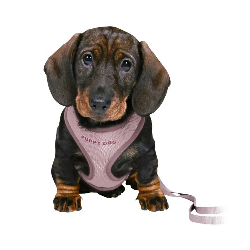 Halsbänder & Leinen Trixie Junior Welpen-Softgeschirr mit Leine -...