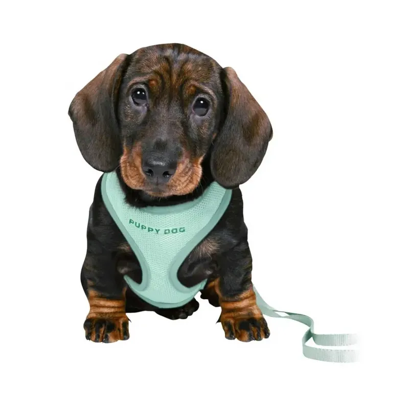 Halsbänder & Leinen Trixie Junior Welpen-Softgeschirr mit Leine -...