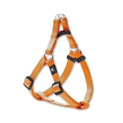 Halsbänder & Leinen Karlie ASP Step&Go Geschirr - Orange - 25 mm,...