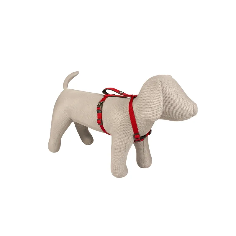 Halsbänder & Leinen Duvoplus EXPLOR North Geschirr - Rot -...