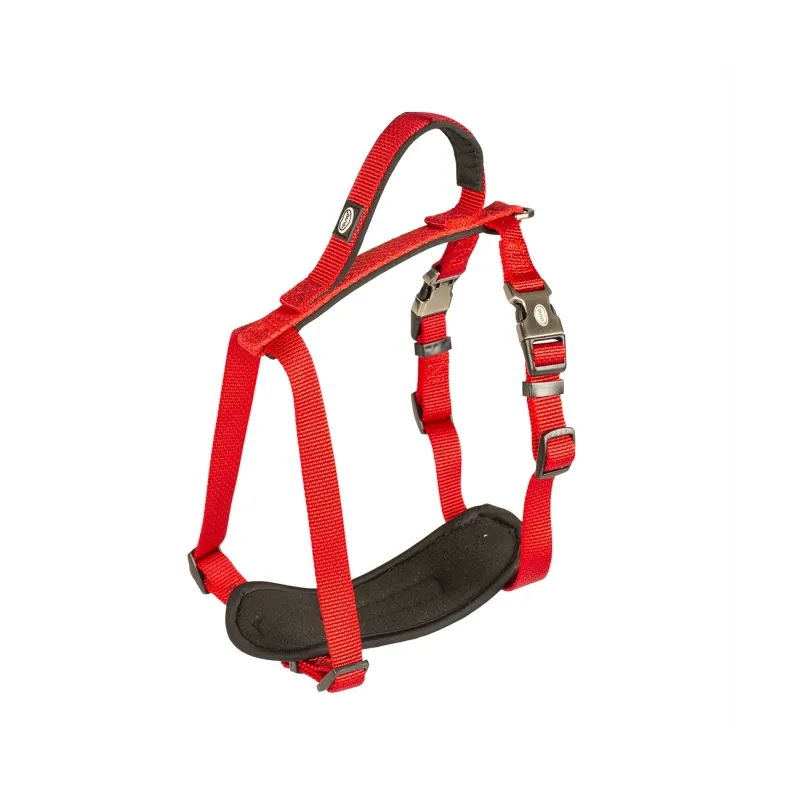 Halsbänder & Leinen Duvoplus EXPLOR North Geschirr - Rot -...