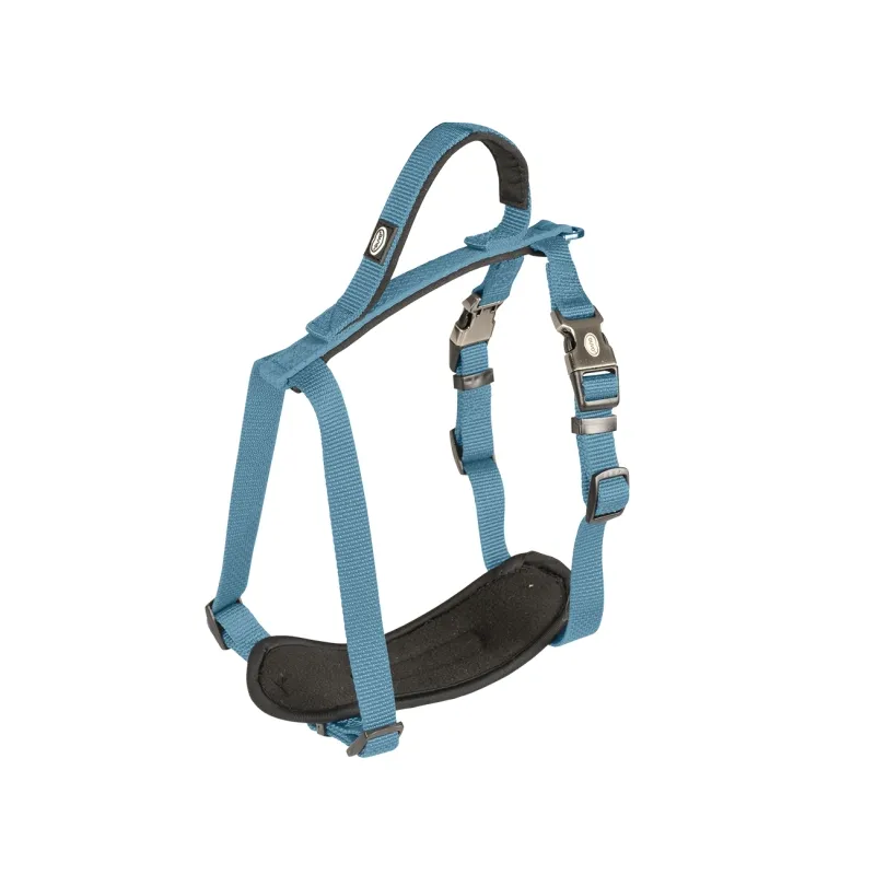 Halsbänder & Leinen Duvoplus EXPLOR North Geschirr - Petrolblau -...