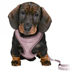 Halsbänder & Leinen Trixie Junior Welpen-Softgeschirr mit Leine -...
